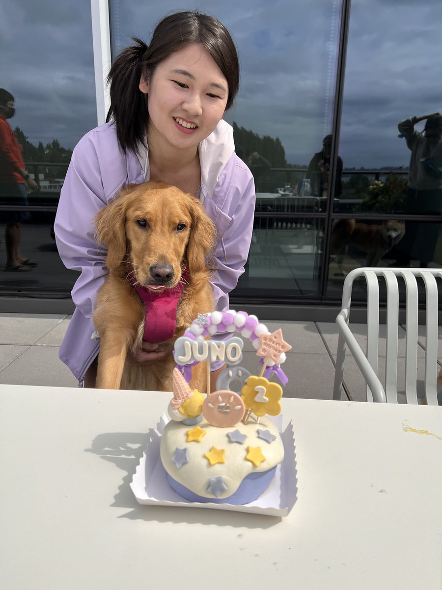 bonnibi's tweet photo. it was my dog’s birthday last week and I’ve never spent so much on a cake. worth it 100% https://t.co/fE7pZ6v0Tv