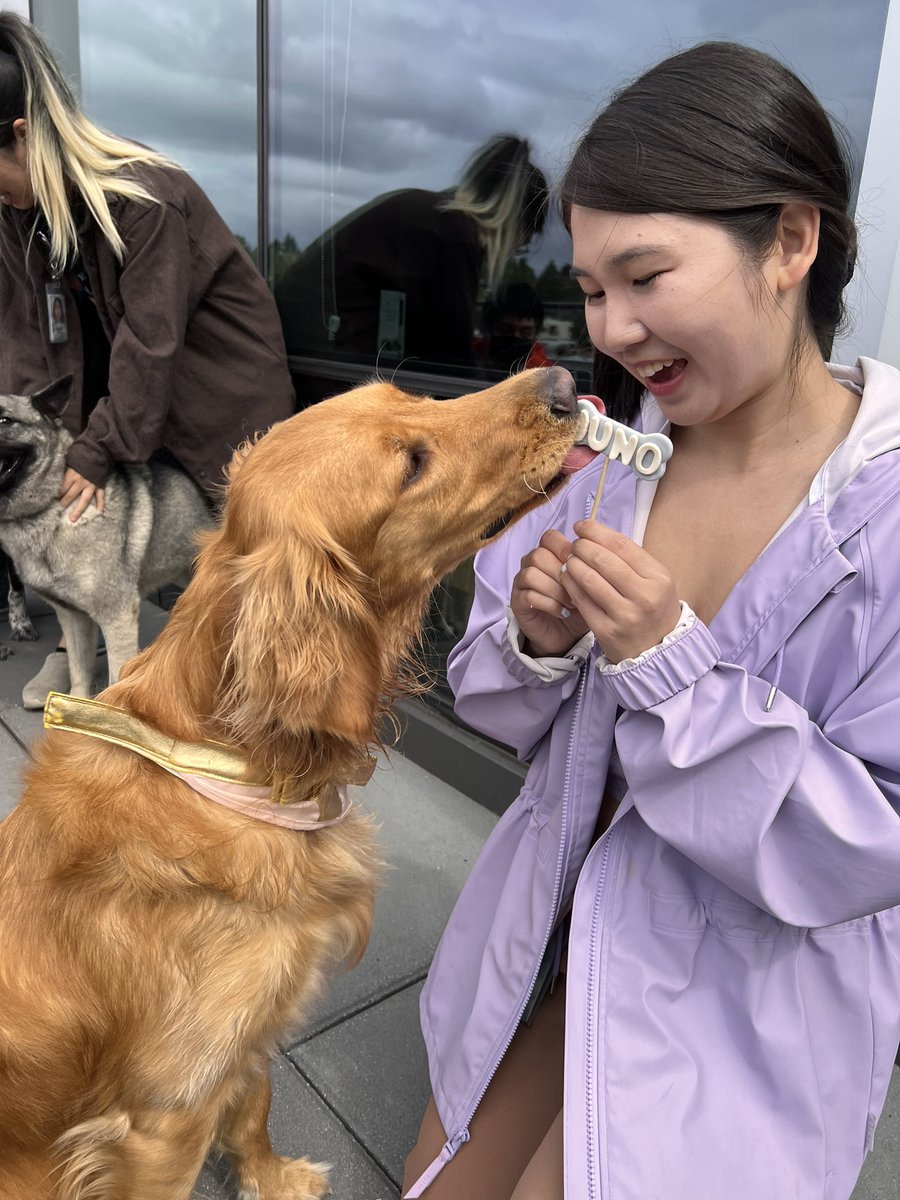 bonnibi's tweet photo. it was my dog’s birthday last week and I’ve never spent so much on a cake. worth it 100% https://t.co/fE7pZ6v0Tv