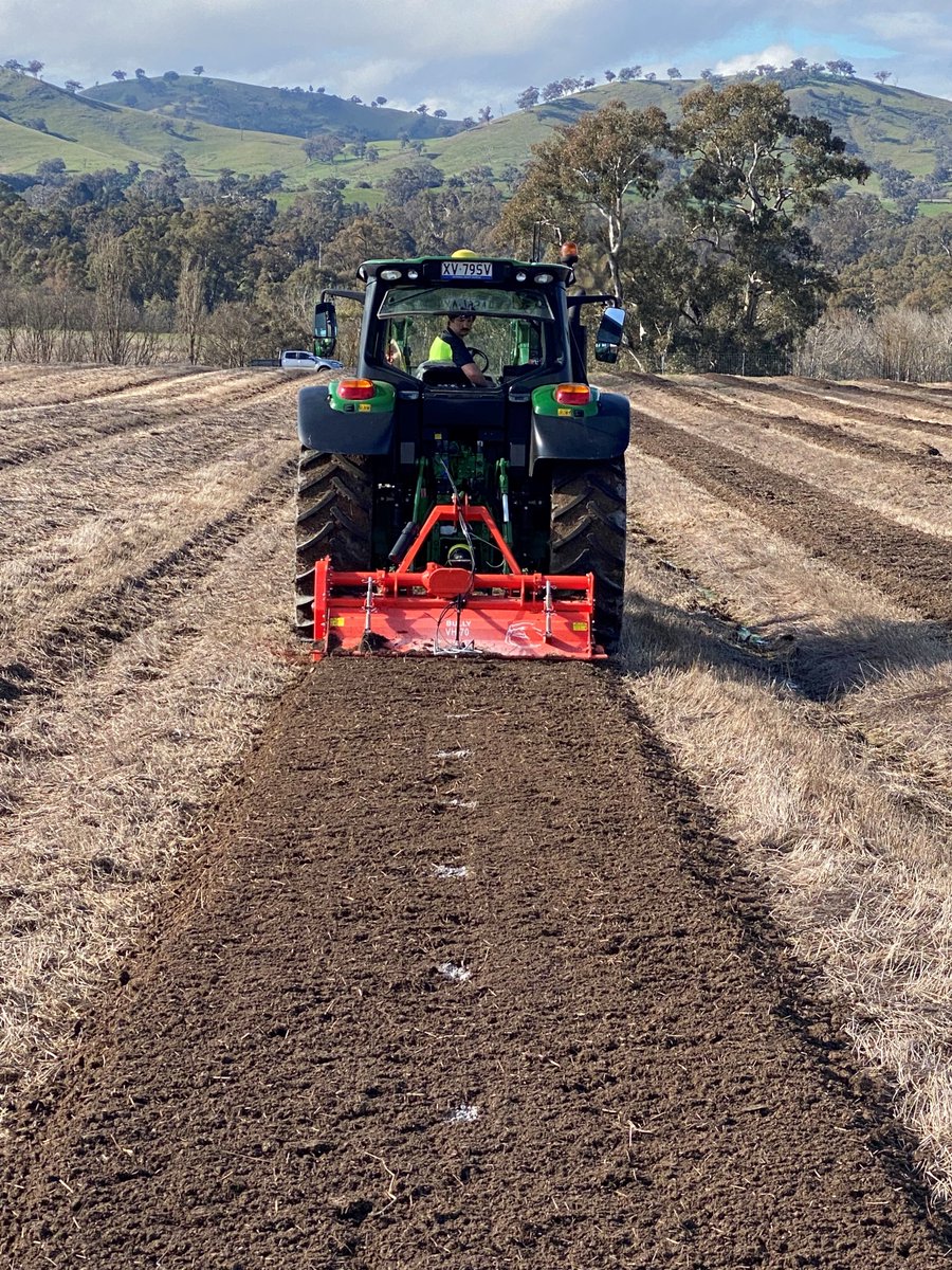 KoalaCherries's tweet photo. Great to see the weather clearing as we head into spring. Our crew are frantically planting the last of our trees in our new developments before we head into our important flowering &amp; pollination period. 🍒

#AllAboutTaste #australiancherries #KoalaLittleMoments #farmlife https://t.co/TFXgrA6ss7