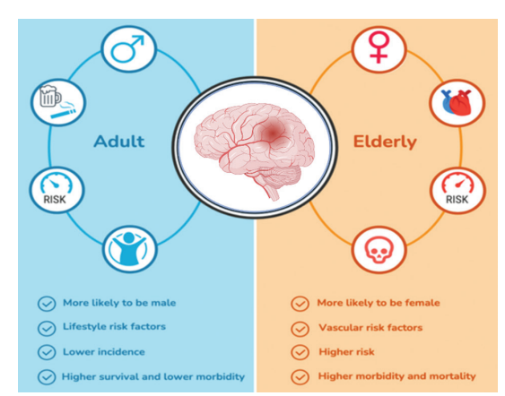 AN_ASP_'s tweet photo. #Ischemia-induced damage of the #bloodbrain barrier BBB is related to both the severity of #ischemic injury and #neurological outcomes. 👇
Researchers review"Implications of age-related changes in the BBB for ischemic #stroke and new treatment strategies"
https://t.co/BDZlbzOrE6 https://t.co/g6Ak9zZo9k