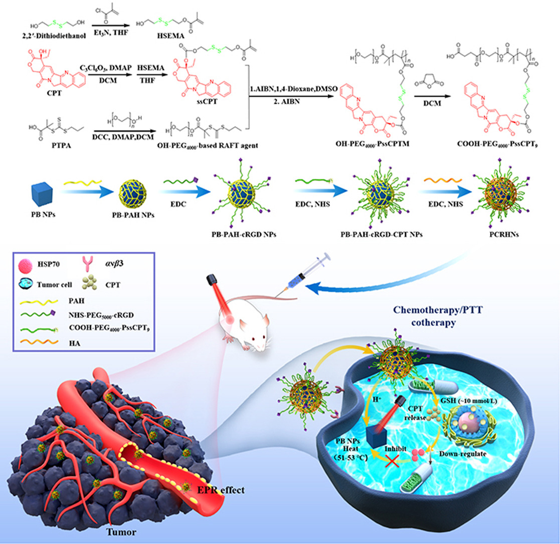 ActaPharmSinB's tweet photo. Article✍️#Tumor-targeted/reduction-triggered composite multifunctional #nanoparticles for #breast #cancer chemo-photothermal #combinational #therapy.
https://t.co/U6qKRBFqat https://t.co/LygE2TTKxV
