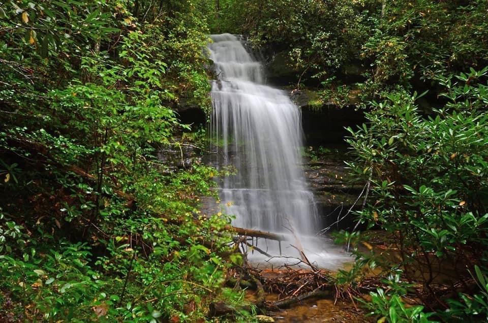 Larry Wants Truth tweet media