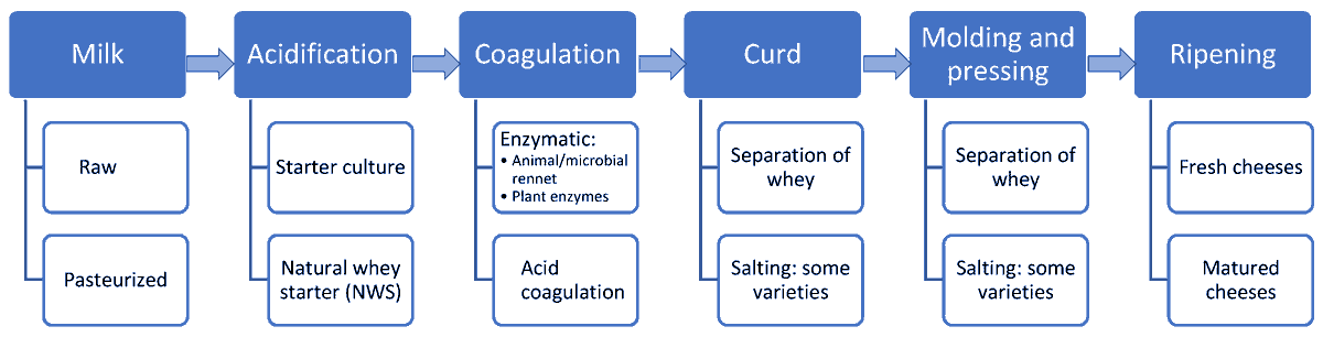 Foods_MDPI's tweet photo. #mdpifoods #Review_Collection
👉Recommend the Review "#Lactic Acid Bacteria in Raw-Milk #Cheeses: From #Starter Cultures to #Probiotic Functions" by Márcia C. Coelho, Francisco Xavier Malcata and Célia C. G. Silva.
Details at https://t.co/BW6pdSJsyV https://t.co/laDE8SZ461