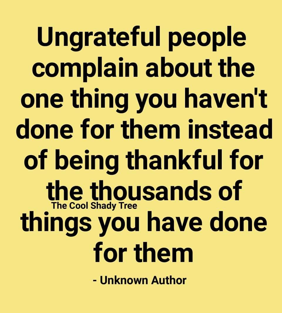 Mark Anthony Cook (🐝,🐝) #10030 tweet media