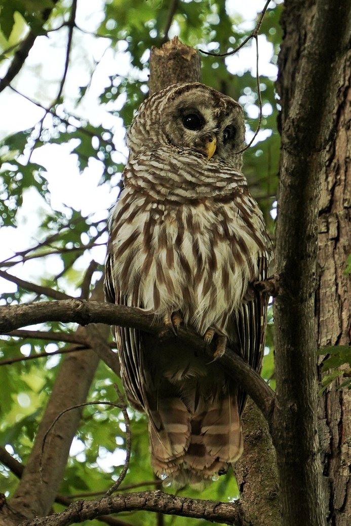 Jess Kirby tweet media