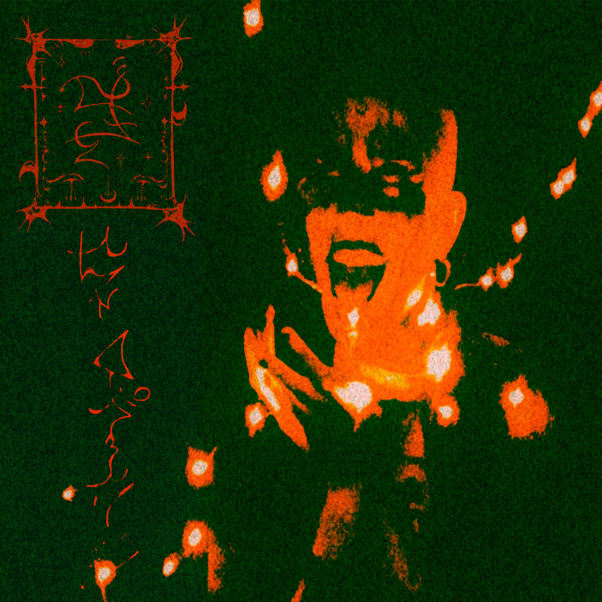 The Roost - 91.7 WNEC-FM tweet media