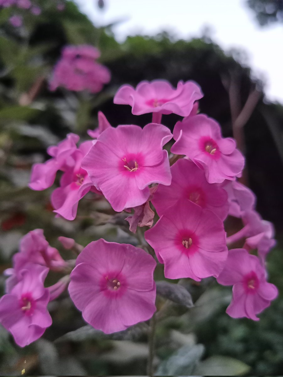 Günaydın /Good Morning 🙏🙏