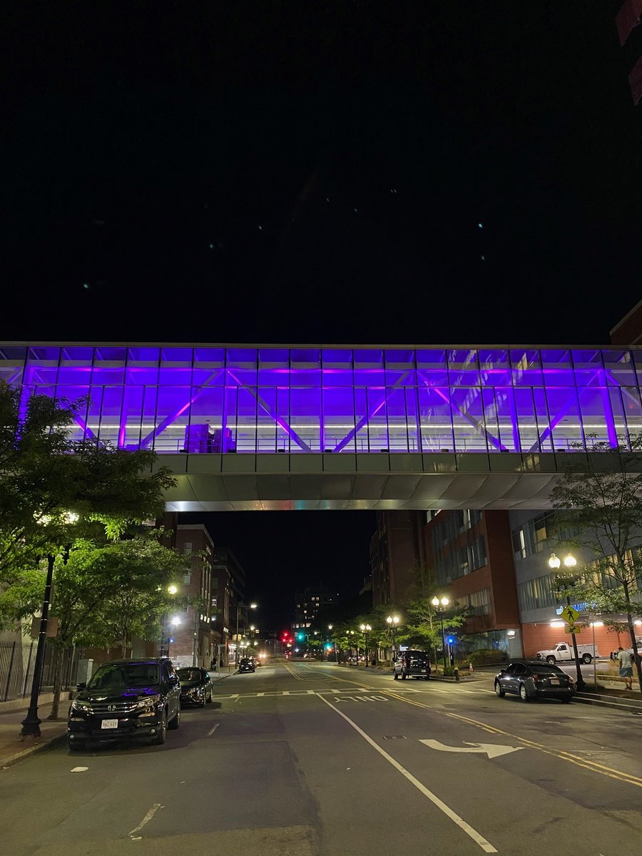 Colleen LaBelle, MSN RN-BC CARN (@collabelle) on Twitter photo Today we stopped and reflected, remembering those we lost to overdose. MASS communities host memorials with Purple ribbons, lights, flags, shirts: raising awareness, grieving for every Life lost. BMC turns emergency transport bridge purple <a href="/The_BMC/">Boston Medical Center</a> <a href="/GraykenBMC/">Grayken Center for Addiction</a> <a href="/MassHHS/">Mass. Health and Human Services</a> <a href="/MassDPH/">Mass. Public Health</a> Today we stopped and reflected, remembering those we lost to overdose. MASS communities host memorials with Purple ribbons, lights, flags, shirts: raising awareness, grieving for every Life lost. BMC turns emergency transport bridge purple <a href="/The_BMC/">Boston Medical Center</a> <a href="/GraykenBMC/">Grayken Center for Addiction</a> <a href="/MassHHS/">Mass. Health and Human Services</a> <a href="/MassDPH/">Mass. Public Health</a>