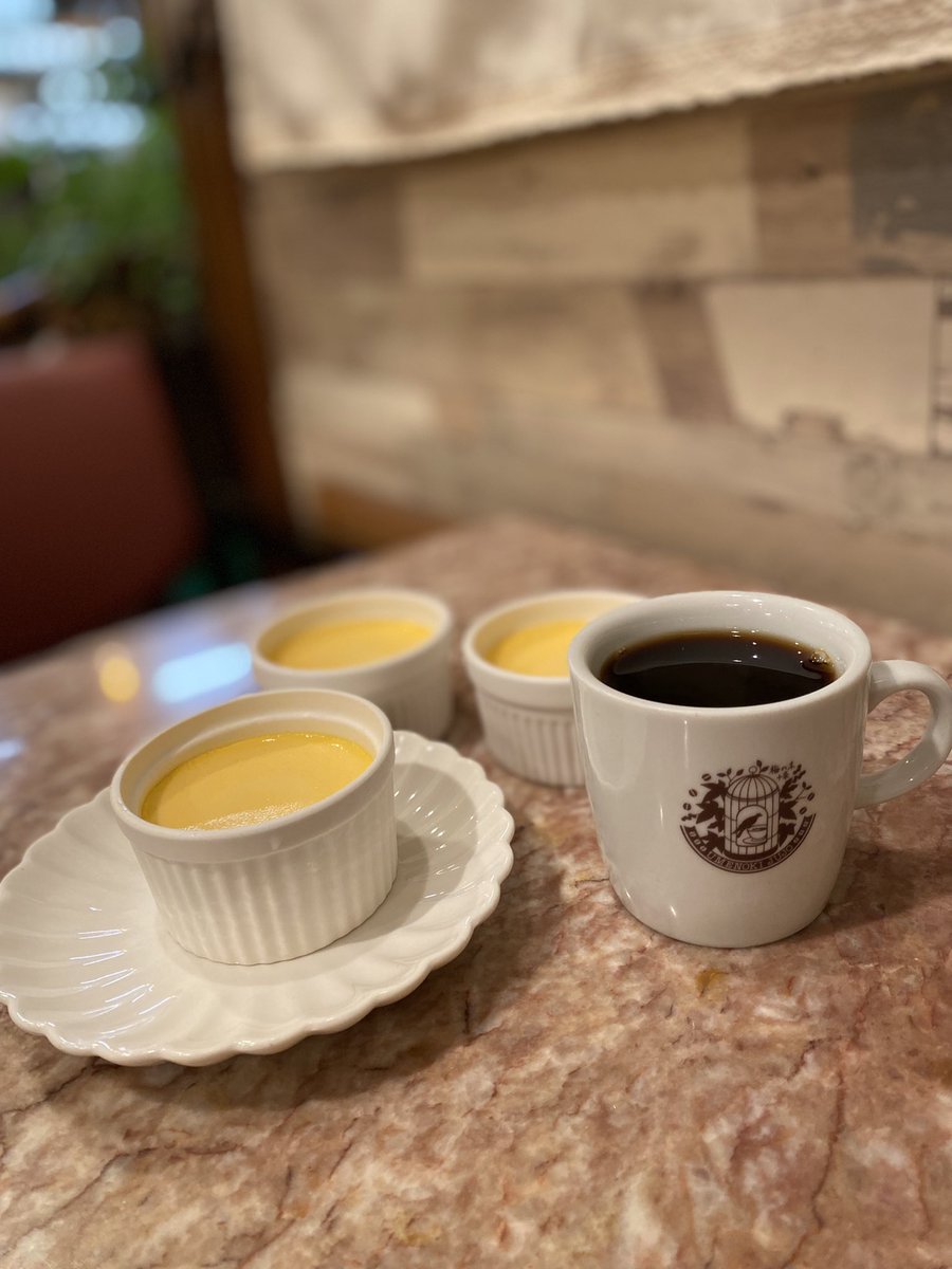 umenokijujo's tweet photo. 9月1日(木)おはようございます。
昨日は夕方にはプリンが売り切れてしまいました☕️
本日もプリンご用意しております！
是非ご賞味ください
#十条カフェ　#プリン https://t.co/qvSgl0fTqX