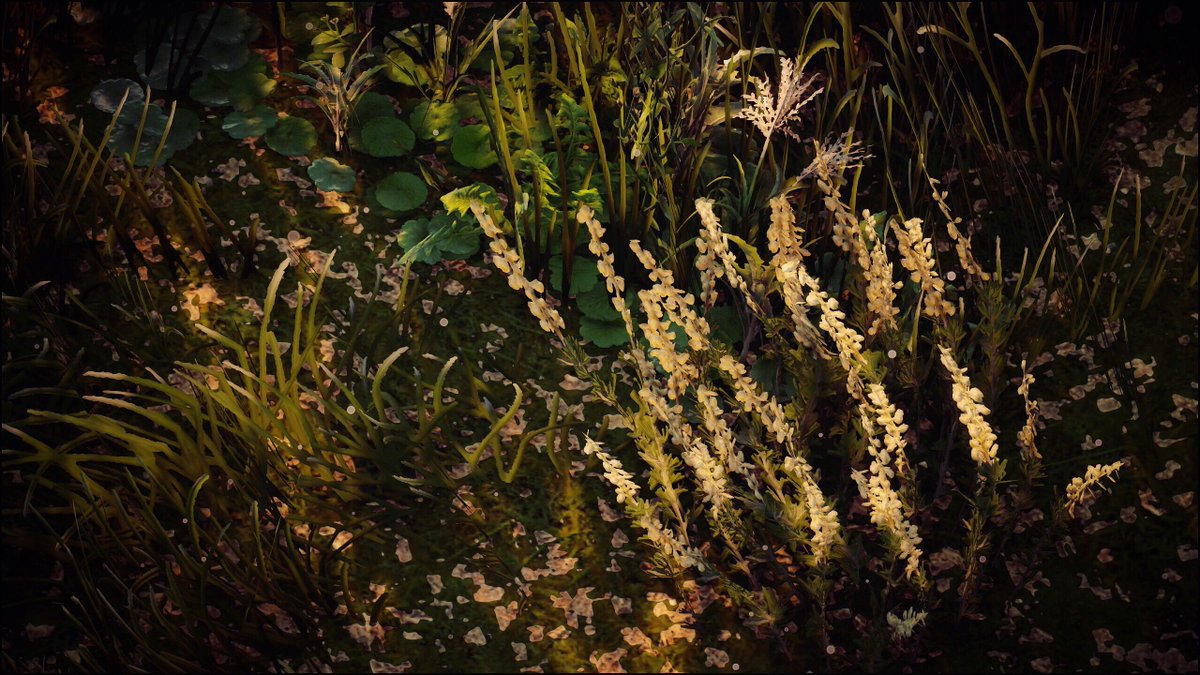 itswinternights's tweet photo. Flowers at dawn 

Game: Horizon Zero Dawn
Platform: PC

#HZD #ThePhotoMode #VirtualPhotography #itswinternights #twitch #twitchstreamer https://t.co/rDwKFaquxJ