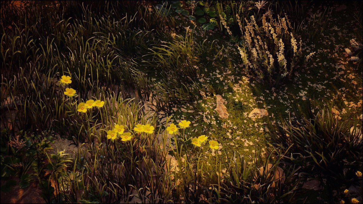 itswinternights's tweet photo. Flowers at dawn 

Game: Horizon Zero Dawn
Platform: PC

#HZD #ThePhotoMode #VirtualPhotography #itswinternights #twitch #twitchstreamer https://t.co/rDwKFaquxJ
