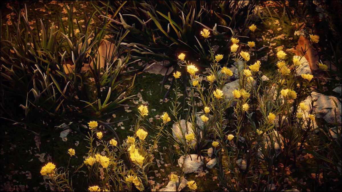 itswinternights's tweet photo. Flowers at dawn 

Game: Horizon Zero Dawn
Platform: PC

#HZD #ThePhotoMode #VirtualPhotography #itswinternights #twitch #twitchstreamer https://t.co/rDwKFaquxJ