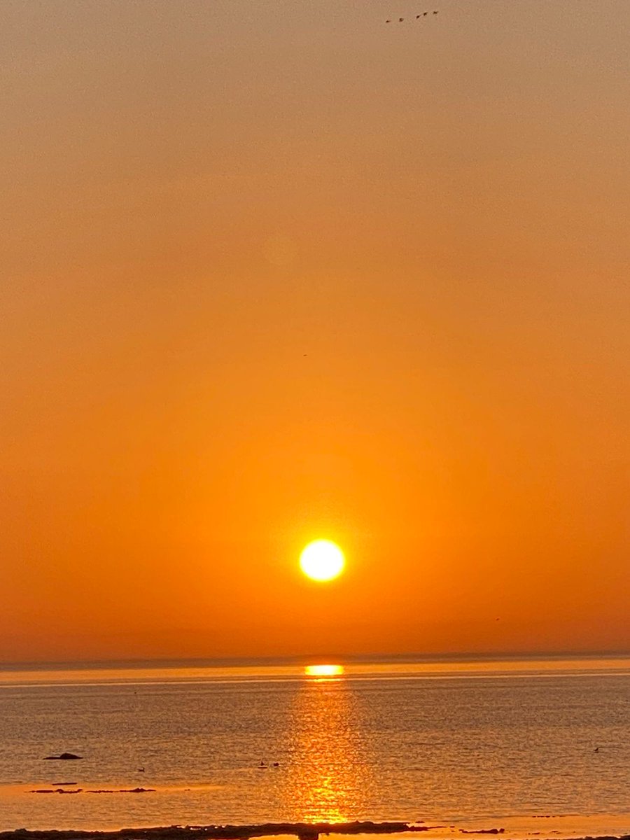 Periwka6's tweet photo. #HelloSeptember #goodmorning https://t.co/i36HcSvKTK