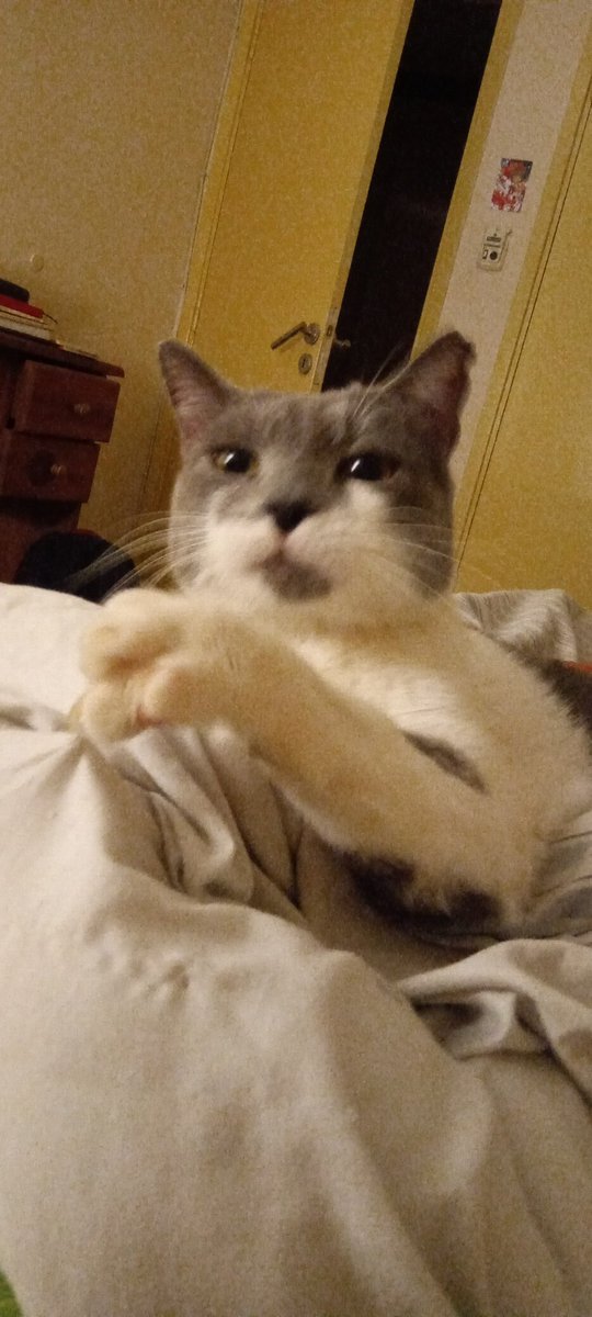 Quinoto out of context (@quinotochan) on Twitter photo 
