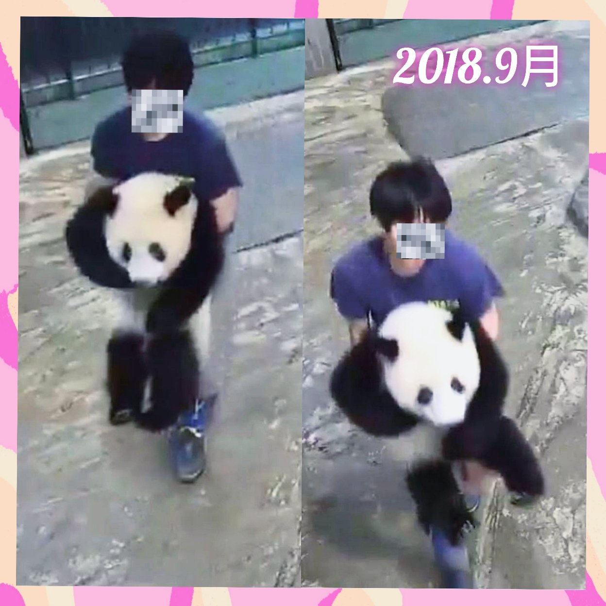 Xwo5kuorntyj5m