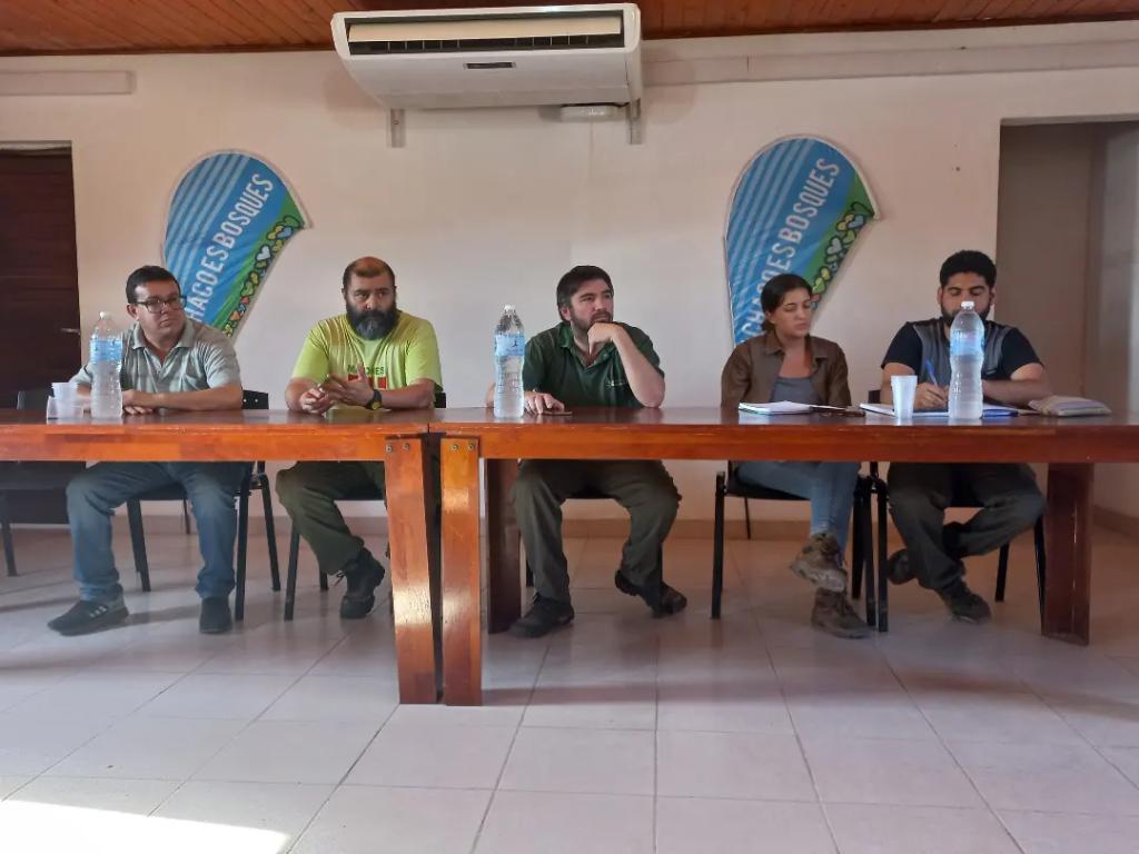 Dirección de Bosques tweet media