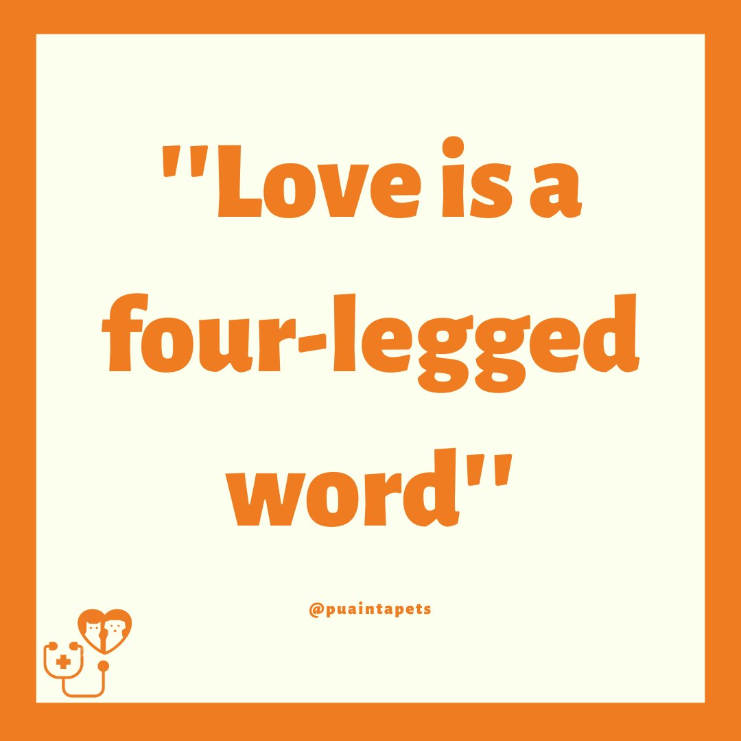 PuaintaPets's tweet photo. What is Love?🐾 #pets #dogs #quote #dogsoftwitter #CatsOfTwitter https://t.co/omJtLqrC2b