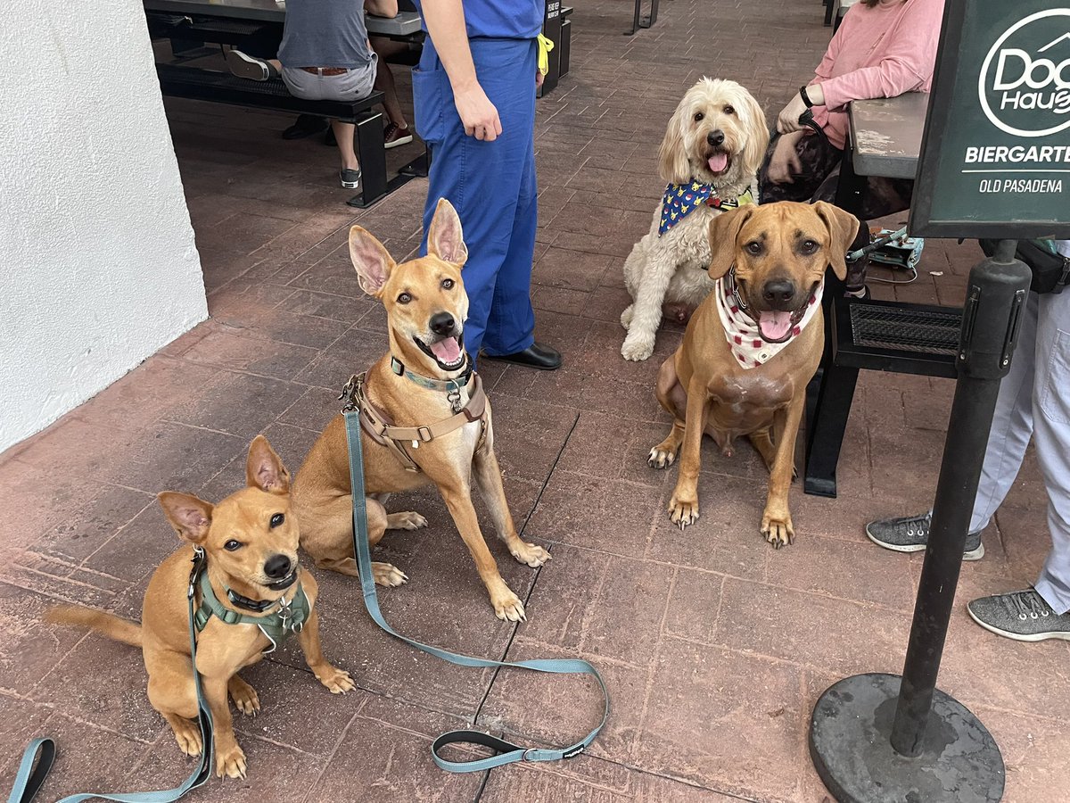 Always a great time hanging out at our monthly residency happy hours! Especially with special guest appearances from @DrBritt_Runs and Susan Harland! #radres #futureradres #Match2023 @RadiologyUSC