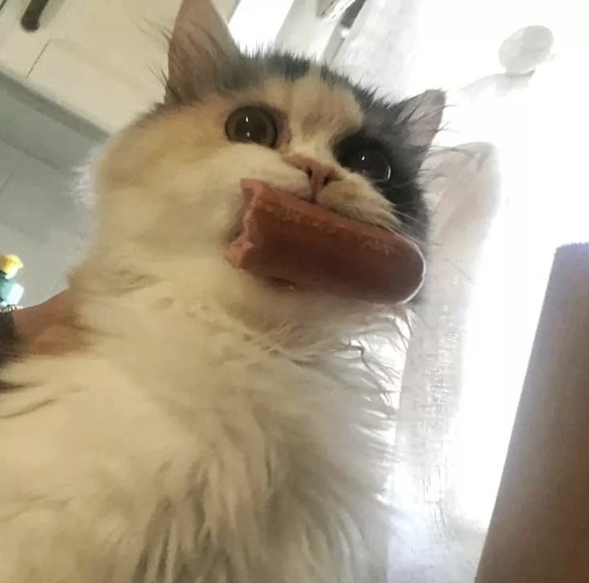 weirdlilguys's tweet photo. me holding onto summer https://t.co/pcaTE89uzB