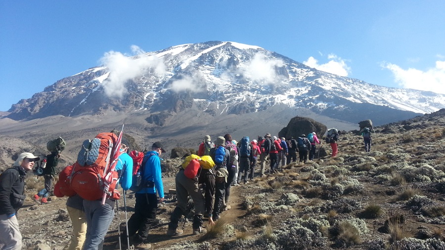 denniskanuti's tweet photo. #kilimanjaro #kilimanjaroreopens #mountain #mountains #Tanzania #Africa #trek #trekking #holiday #climbingmtkilimanjaro #thinkingofclimbingkilimanjaro #climbingmtkilimanjaro #kilimanjaronationalpark #thinkingofclimbingkilimanjaro #1guidesmtkilimanjaro #kilimanjarotrekking https://t.co/bigSgHWV3f