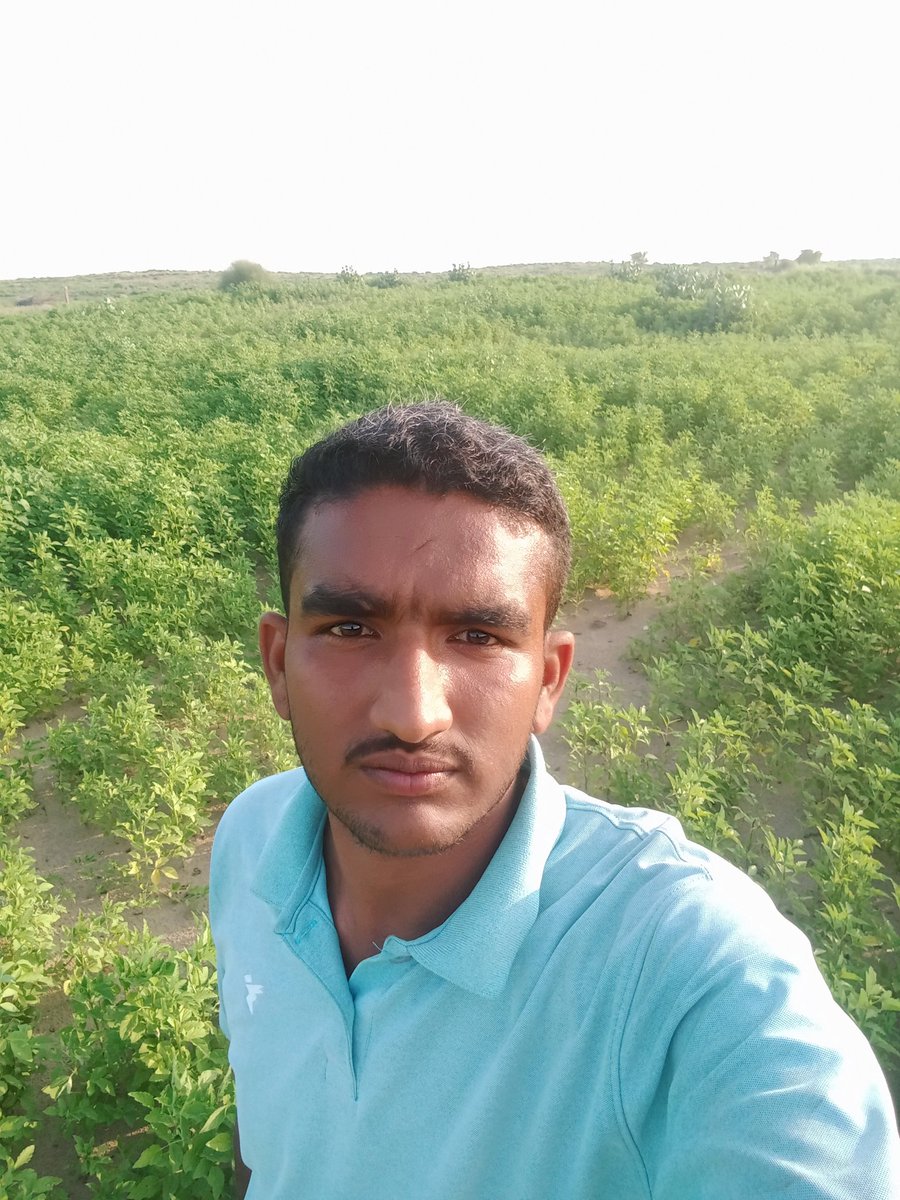 kanwaraj_singh_'s tweet photo. #फॉर्महाउस
#askandra
@BhatiKanwaraj https://t.co/vn6VF5Ag7x