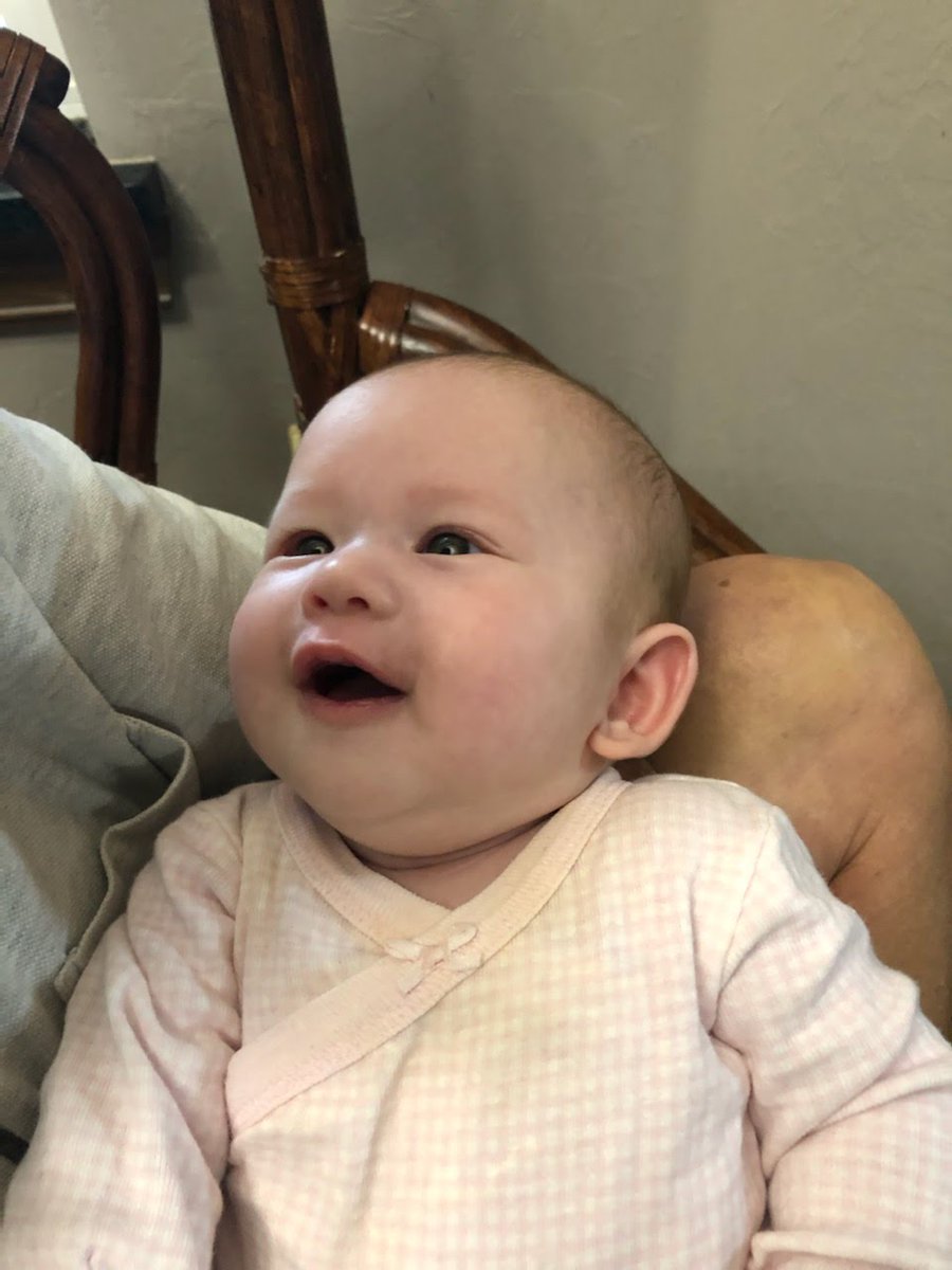 Michelle Boule-ee 🥖 tweet media