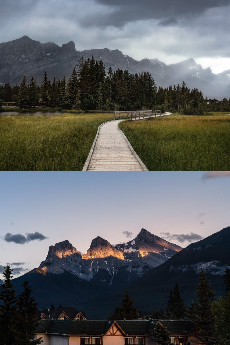 Nick Brownlow tweet media