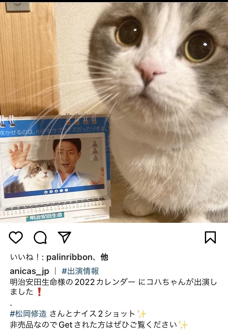 明治安田生命保険 Twitter Search Twitter