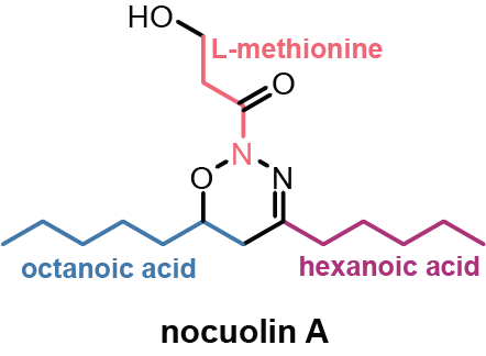 Leão Lab - CIIMAR (U.Porto) tweet media