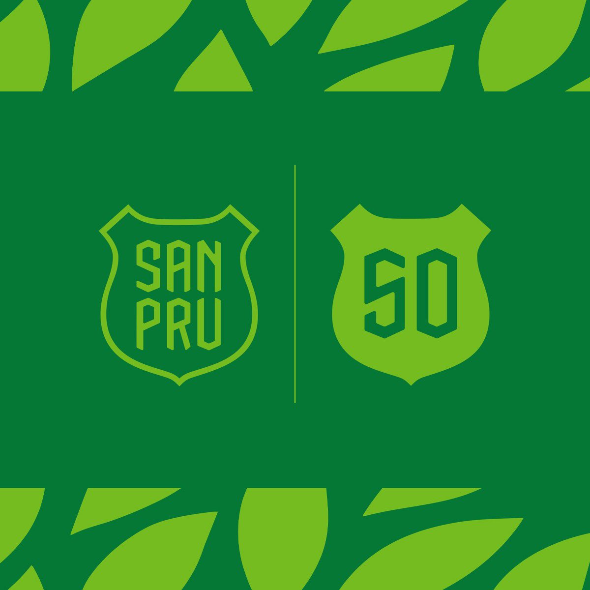 SanPruAD's tweet photo. 💚 50. URTEURRENA / 50 ANIVERSARIO

Hoy se cumplen 50 años desde la creación de los primeros equipos deportivos en nuestro centro. 

#MareaVerde https://t.co/kcnGRC307B