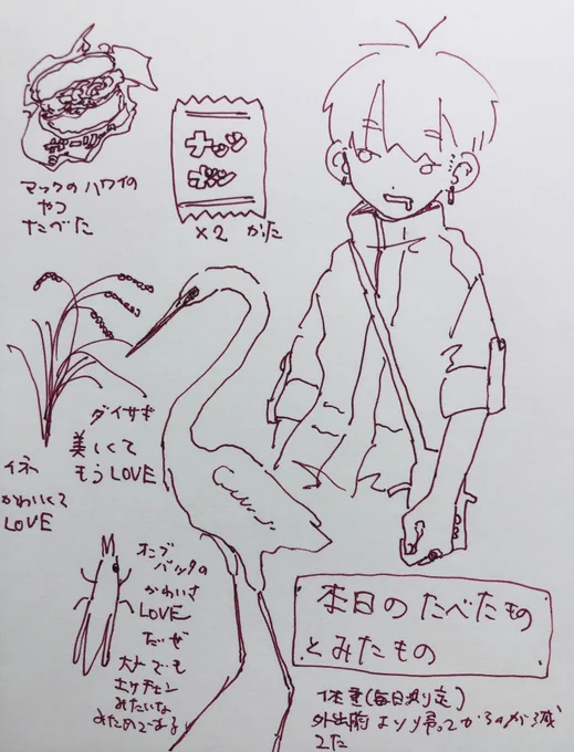 草と田んぼの散歩コースが愛しい 