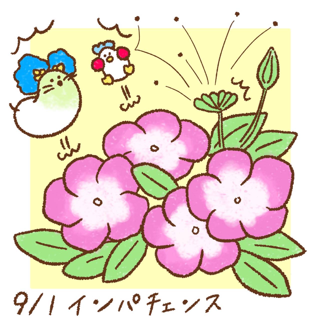 Twitter এ 太りすぎたびわこ 9月1日の誕生花は インパチェンス 花言葉 強い個性 花が咲いた後の実に触れると パチン って勢いよく弾けて 中の種が周囲に飛び散るんだって びっくり箱みたいなお花だね ゆるいイラスト T Co Ezrqzbsip1
