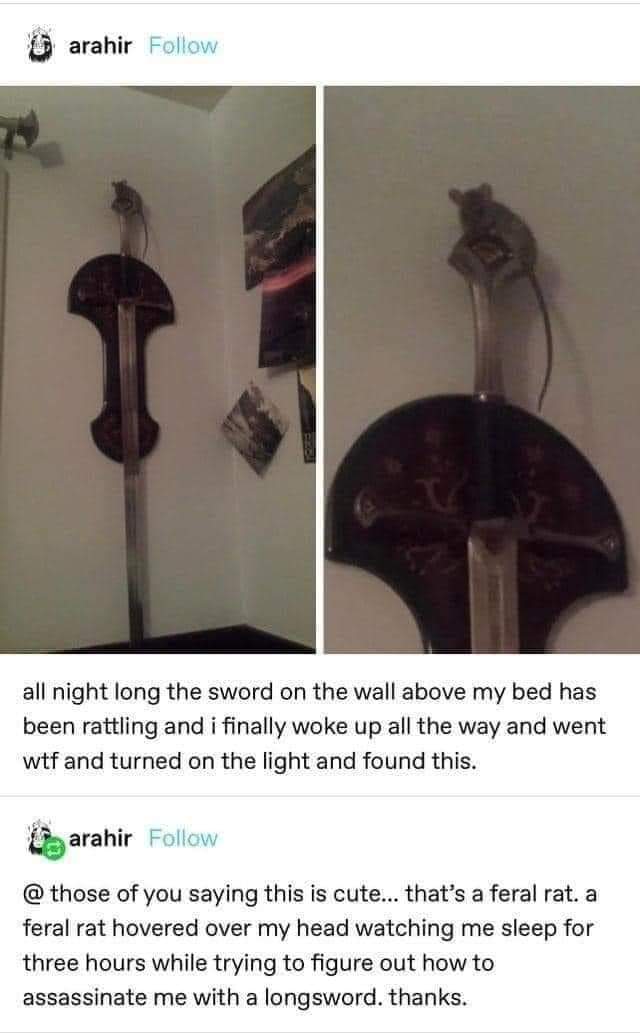 CSMFHT's tweet photo. The Sword of Ratocles https://t.co/wllVeTQUWd