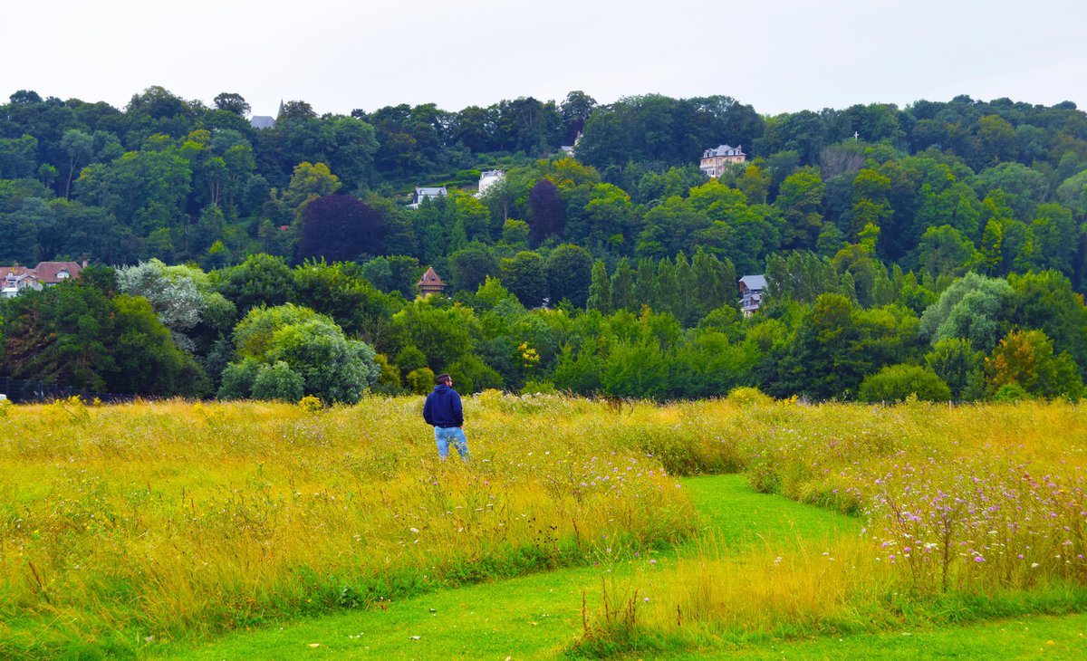 Encyclopedia of Colorful Getaways (Ismaïl Alsaïdi) tweet media