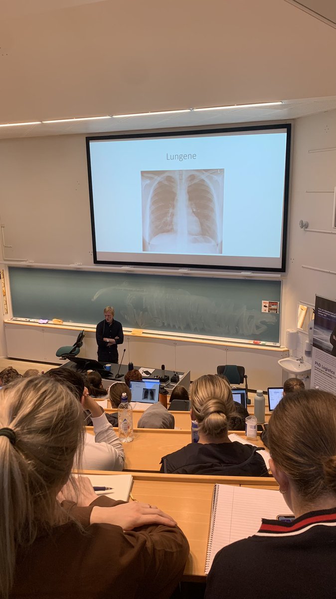 NorwegianSpursy's tweet image. Twitter has ruined me. I’m in a lecture, and this picture popped up and I all I can think about is “he’s got the dawg in him”😭