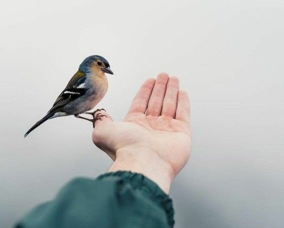 "Dış görüntün nasıl olursa olsun, İçindeki iyi niyet; seni dünyanın en güzel insanı yapar...
Hz. Ali