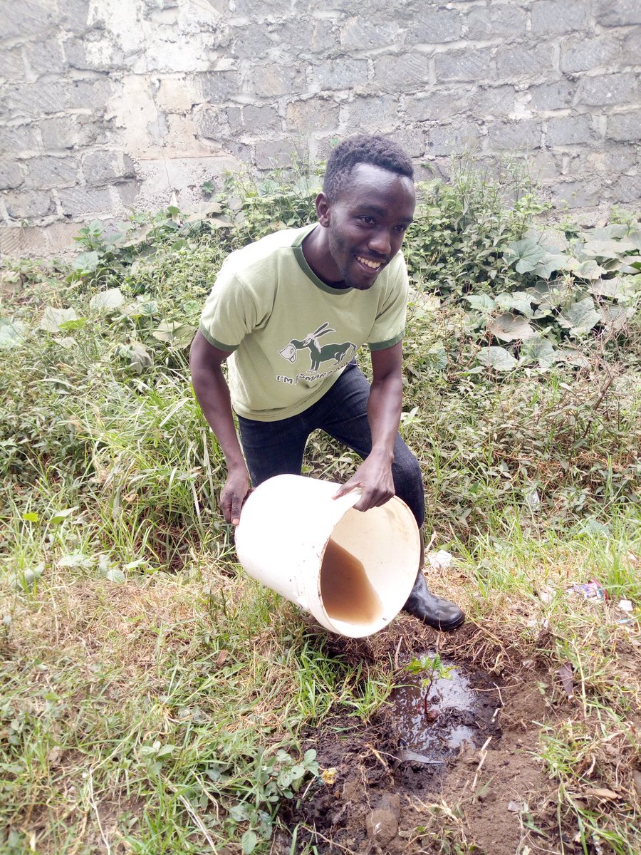 josephmacharia0's tweet photo. Take care of the environment now, it will take care of you in the future. This is the pathway to a greener and just planet. 
@VSOKenya @GreenTideGlobal
#ACW2022
#GreenTide
#ClimateJusticeNow
#ClimateNegotiationKe https://t.co/0LkHWeZcF0