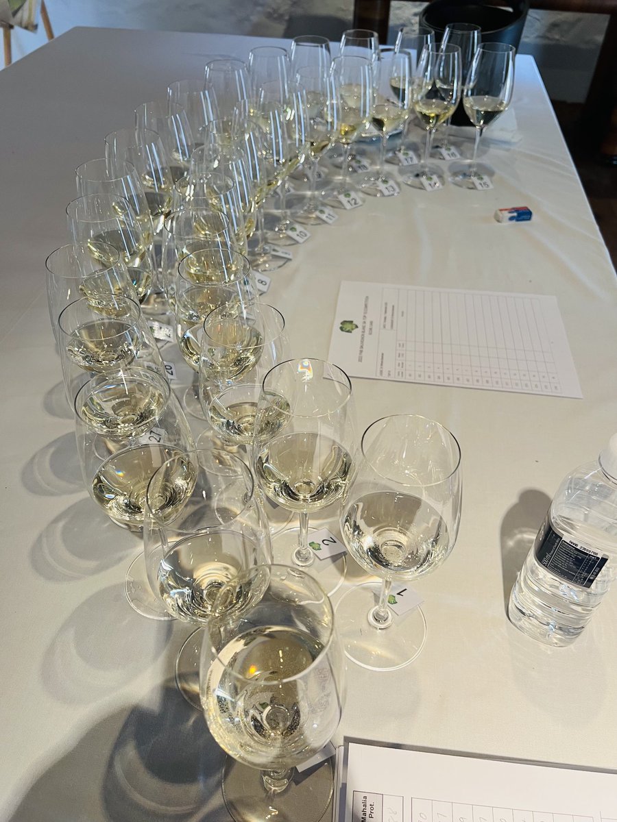 After 3 days of tasting we are down to the final  30 contenders for the #FNB ⁦<a href="/SauvignonSA/">Sauvignon Blanc SA</a>⁩ Top102022 Who will be on the podium? ⁦<a href="/FionaMcDonaldSA/">Fiona McDonald</a>⁩ ⁦<a href="/johannfourie/">Johann Fourie</a>⁩ ⁦<a href="/euniceagriexpo/">Eunice Joubert</a>⁩ ⁦<a href="/JohanEhlers/">Johan Ehlers</a>⁩ ⁦@MSteyn03⁩