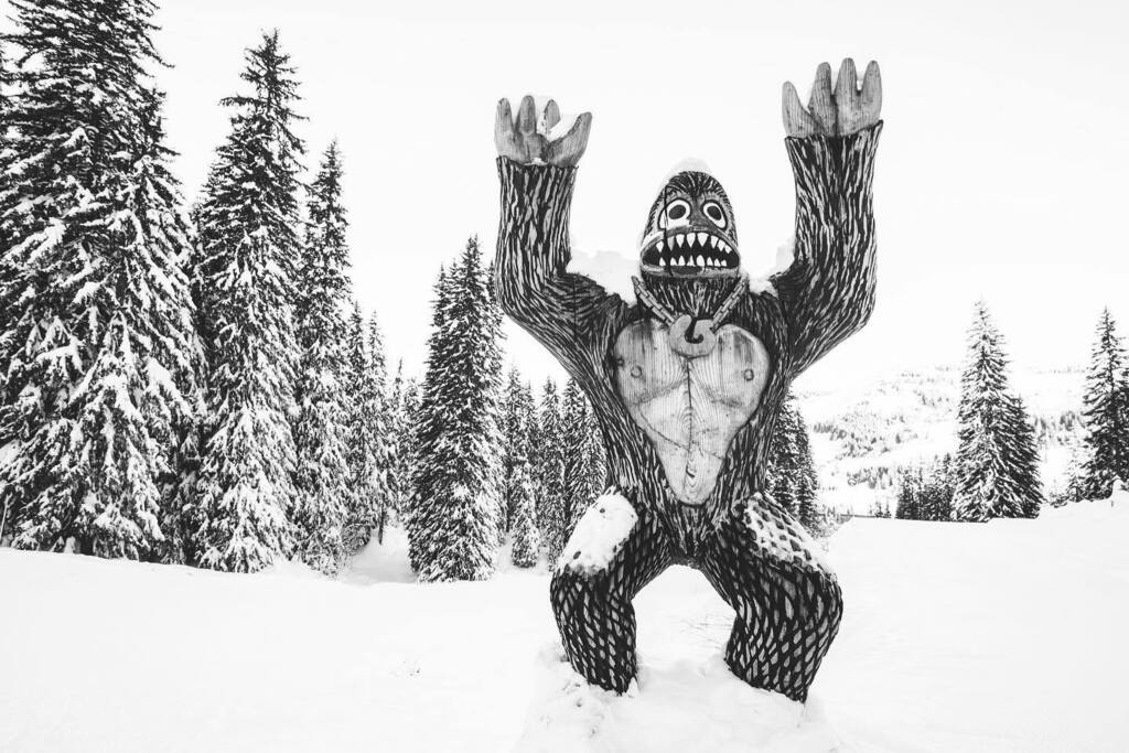 MINT Snowboarding tweet media