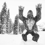Photo by MINT Snowboarding (@MintSnowboard)