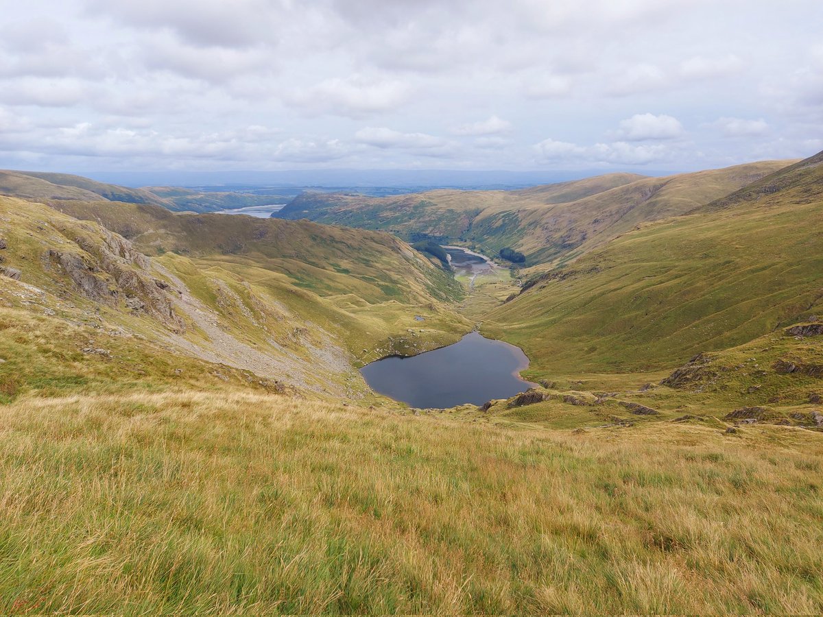 angiemc_rys's tweet photo. After a celebration break & enjoying 9 mountains over 2 days,I'm back @RochdaleYouthie !Very pleasant email to return to, ssying our application to be 'Worker Bees' with #BeeHeard was successful! Watch this space to see how we work together...#MentalHealthMatters @YouthforiaNW https://t.co/jSpt8aFim0