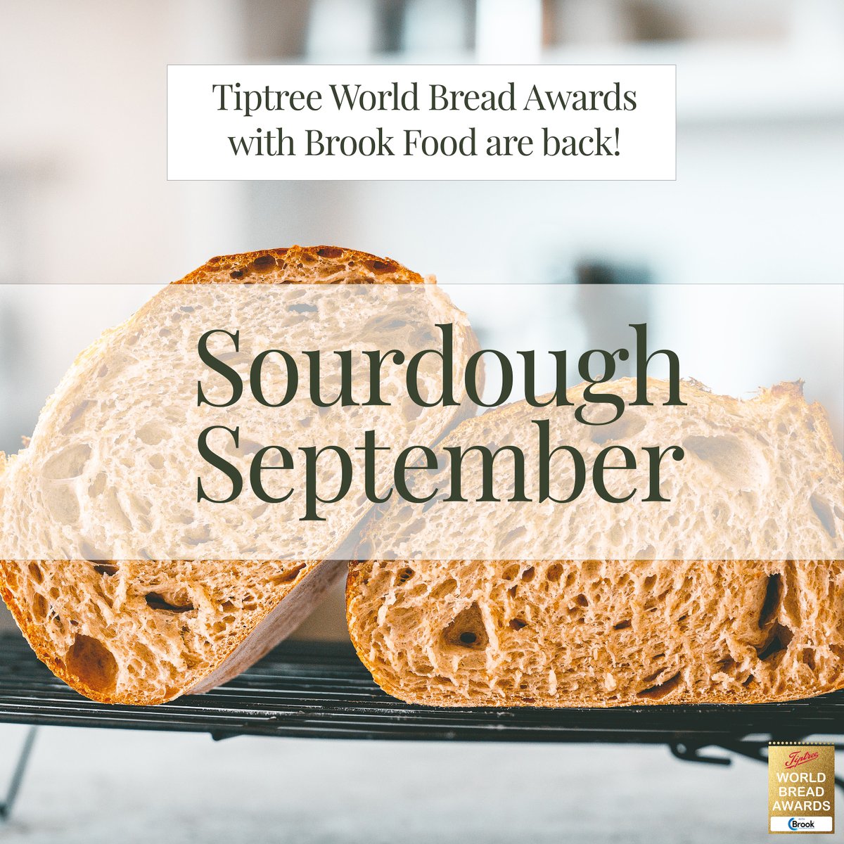 🎉✨Sourdough September ✨🎉

Launched in 2013, the main aims of #SourdoughSeptember are encouraging people to:

•Bake/Buy genuine sourdough bread from small, independant bakeries
•Boost the Real Bread Campaign

What do you love about #sourdough? 🍞

<a href="/RealBread/">Chris Young, Real Bread Campaign coordinator</a>