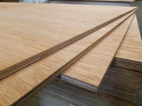 RrobertaLleona's tweet photo. #ASongOrMovieForBuilding
🎶"....And plywood give everything I own....."🎶 https://t.co/xHOvBFucuL