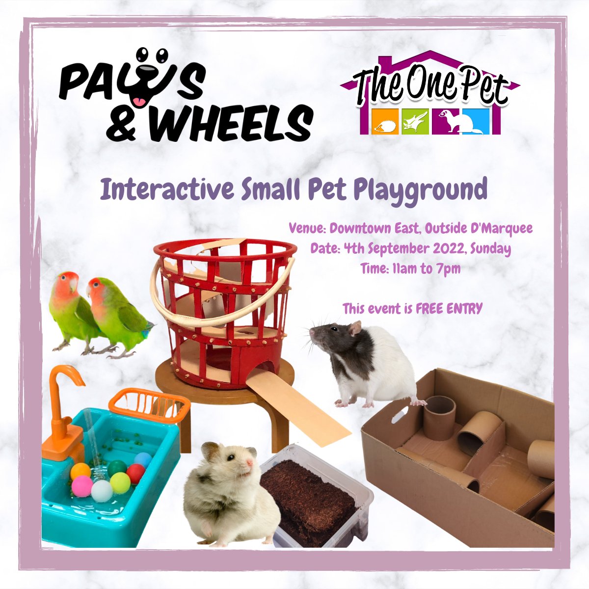 TheOnePet_TOP's tweet photo. Bring your pets along for a fun filled and enriching play in our interactive small pets playground!

Venue: Downtown East, Outside D'Marquee 
Date: 4th September 2022, Sunday 
Time: 11am to 7pm https://t.co/r2alA86A4l