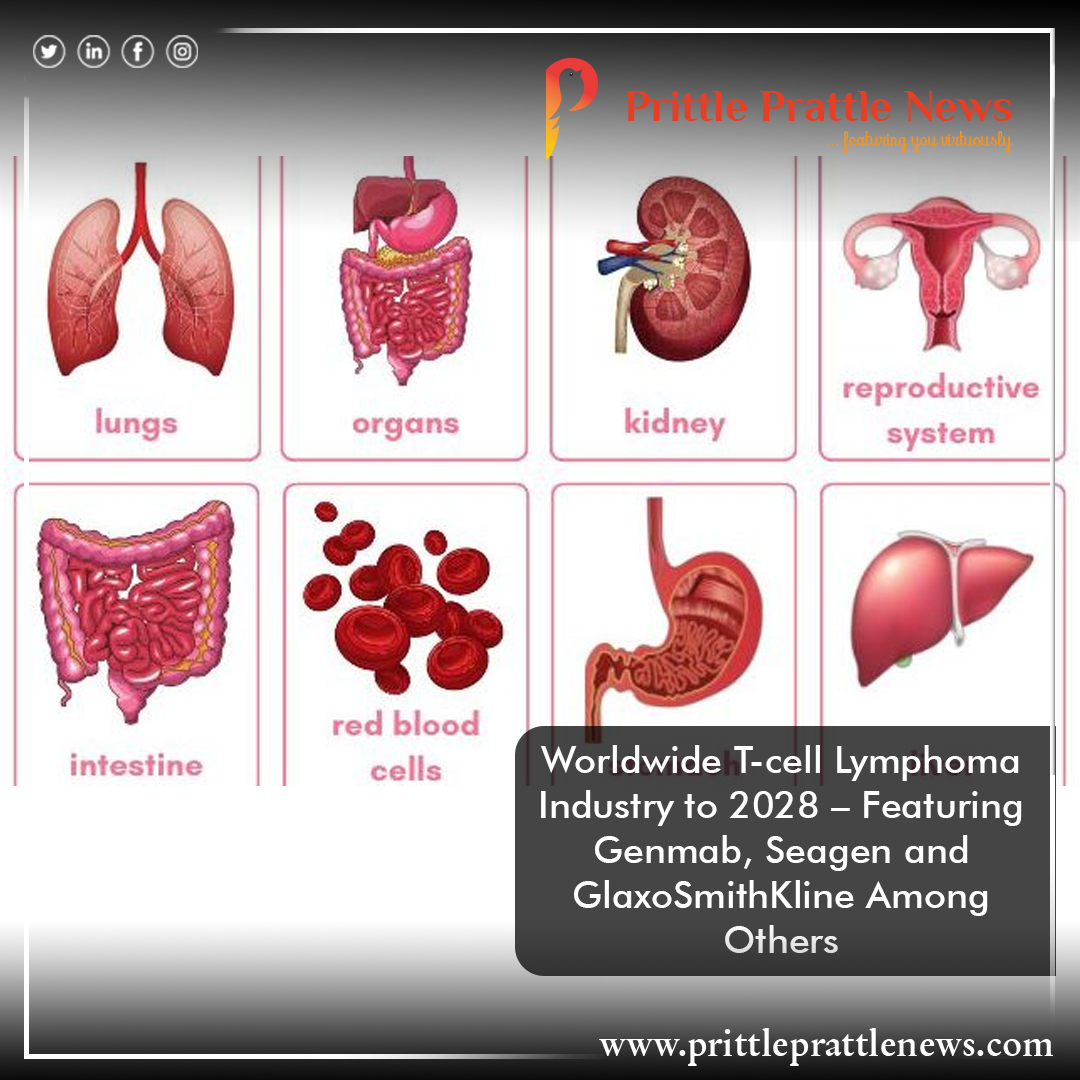prittle_prattle's tweet photo. Worldwide T-cell Lymphoma Industry to 2028 – Featuring Genmab, Seagen and GlaxoSmithKline Among Others.
#worldwide #tcall #lymphoma #genmab #seagen #glaxosmithkline #whiteblood
@glaxo_the

https://t.co/PCobVAky6r https://t.co/AB8NAIMpxv