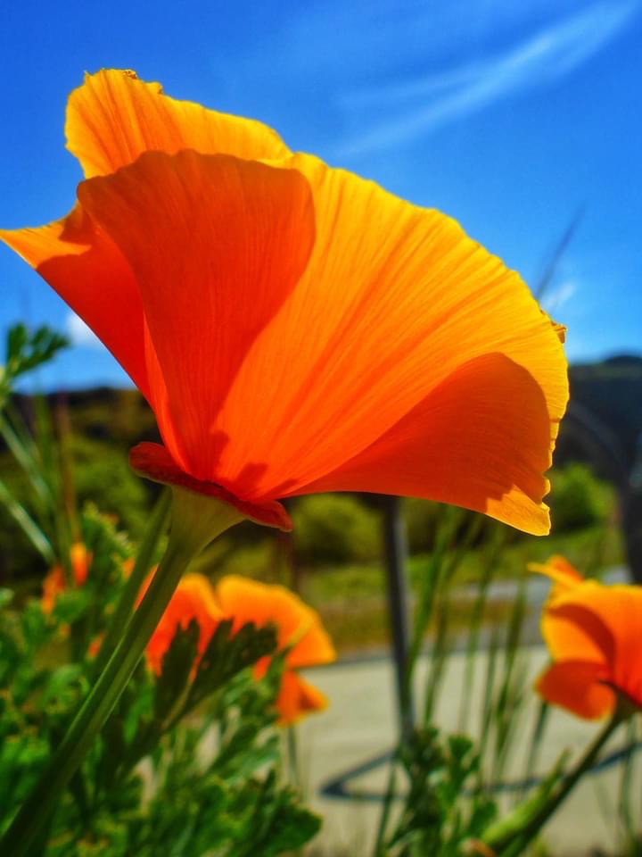 How are you showing up? - eepurl.com/h946nz