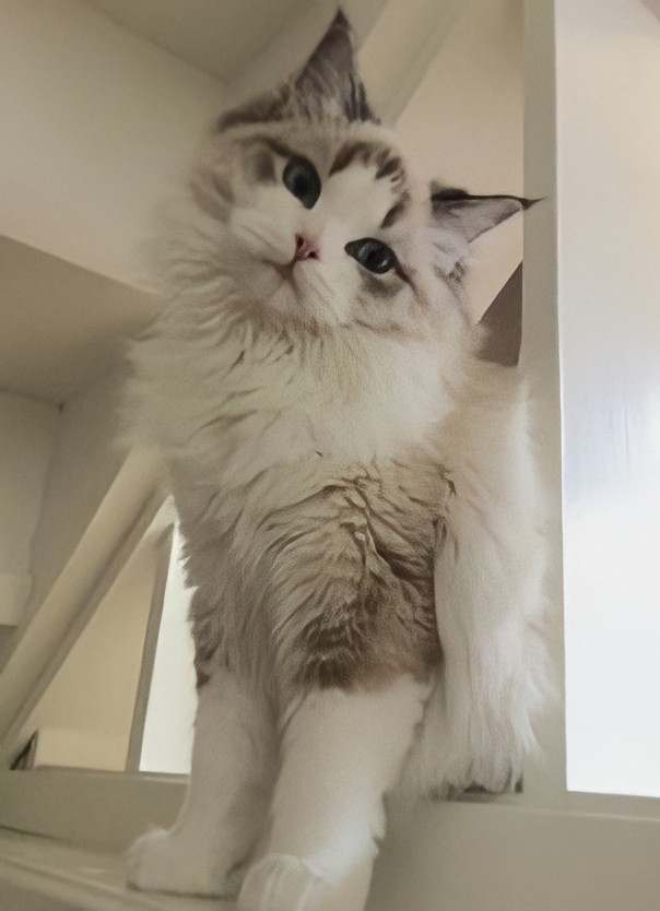 Bana Günaydın☀️ yok mu 🙄😁