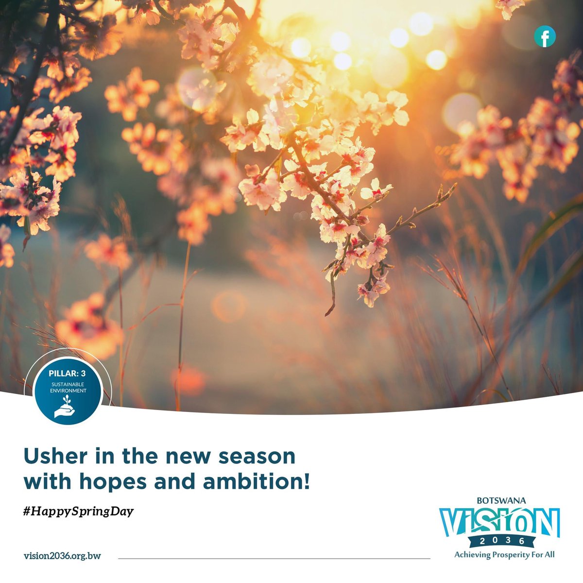 BWVision2036's tweet photo. New Season, same vision.

#Vision2036
#ReGatetsePele https://t.co/lUpu0uDvpB