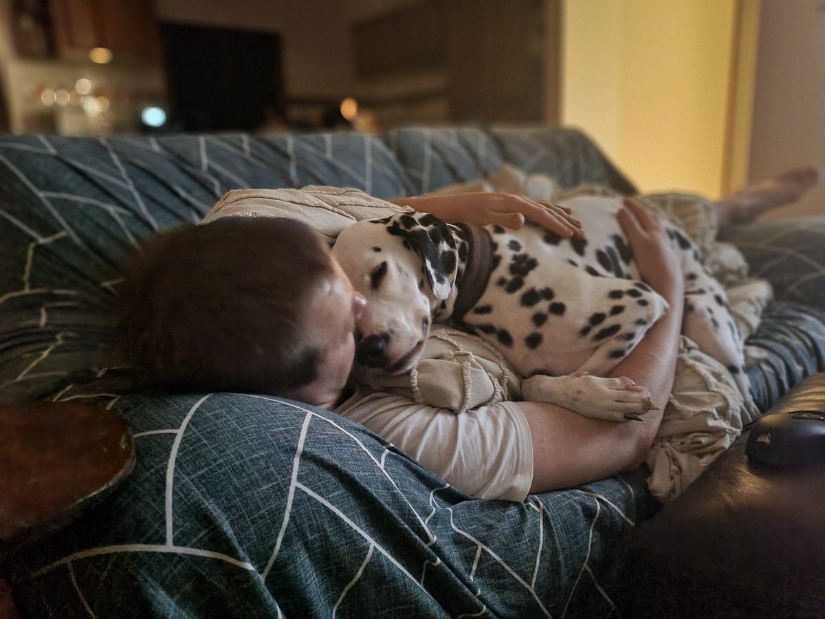 EmbarrassedYes's tweet photo. Sweetness level overload. 
Rate this good boy! https://t.co/ilpBDSQwwG