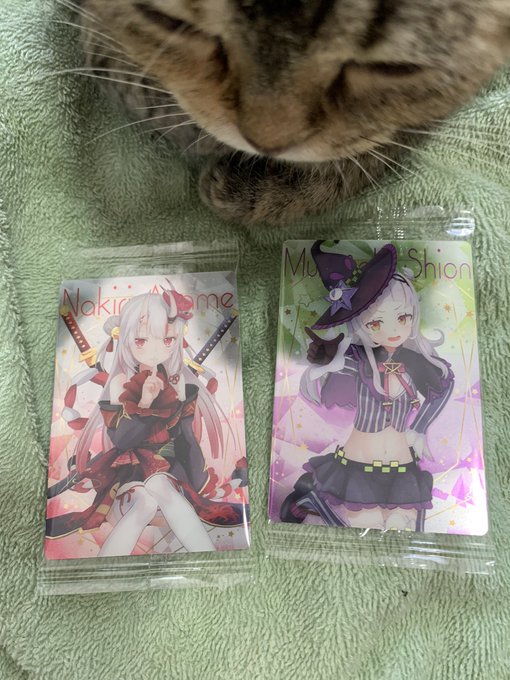 ぽんぽんぽんぽんっの人やヾ(:3ノシヾ)ノシ( ΦωΦ )( ΦωΦ )曲しか知らん 